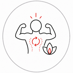 Muscle Recovery