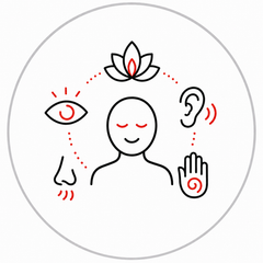 Sensory Wellness