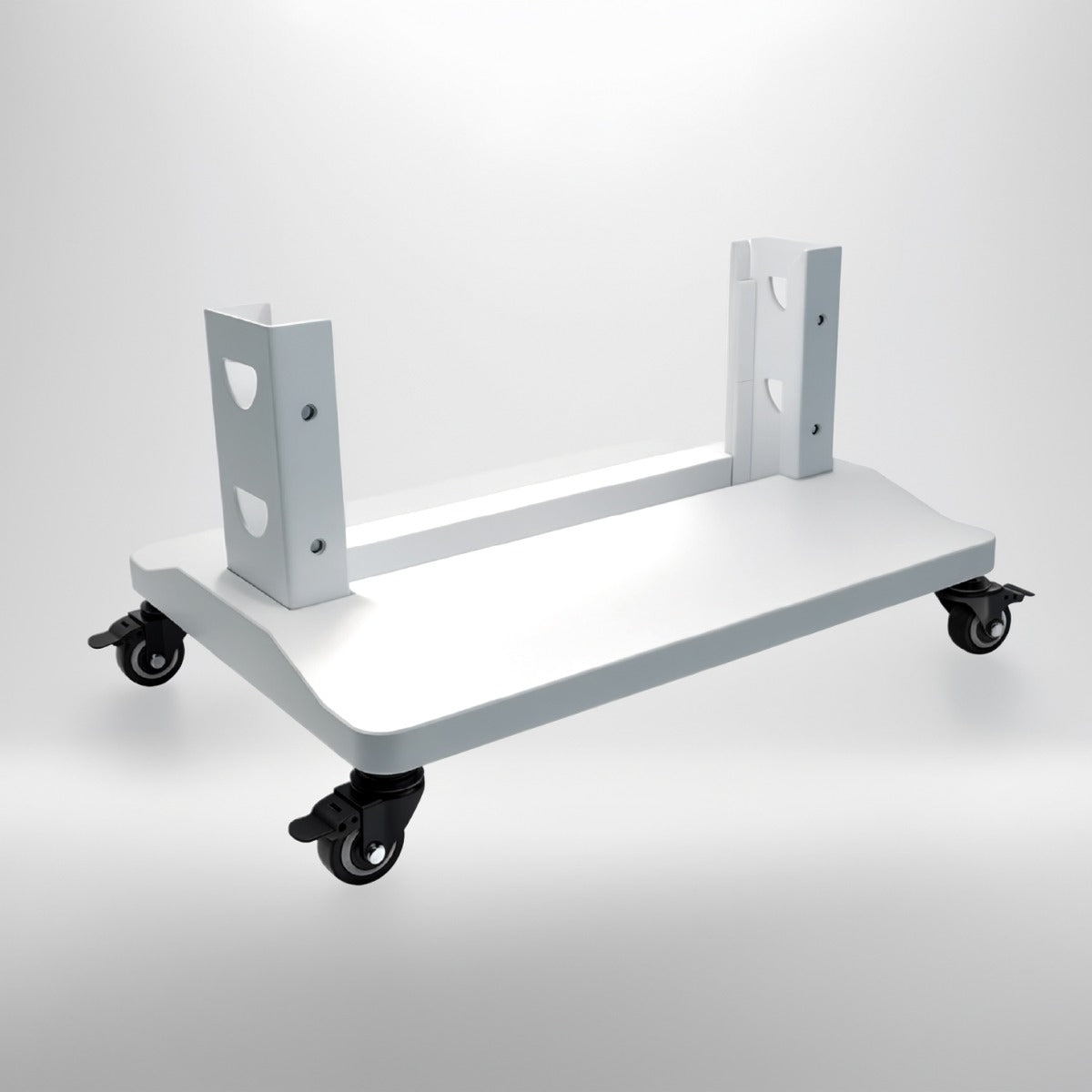 Mobile Stand for RLPRO 600