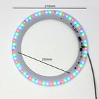 ES Multi-Coloured Ring Light