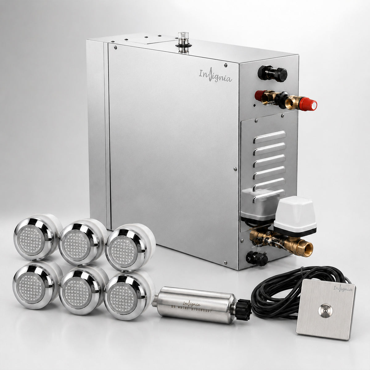 Commercial Steam Generator