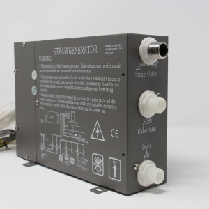INS Steam Generator (Horizontal)