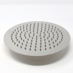 Platinum Monsoon Shower Head
