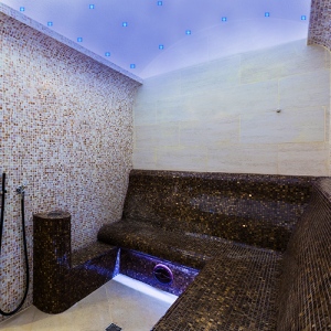 Heavy Duty/HomeFit Steam Generator Lighting System-20