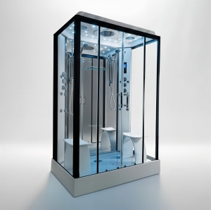 Platinum Twin Steam Shower