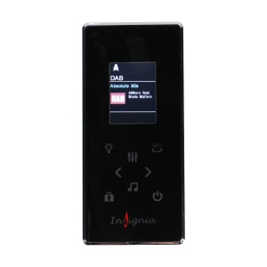 INS DAB Control Panel - Steam (3rd Gen - Black)