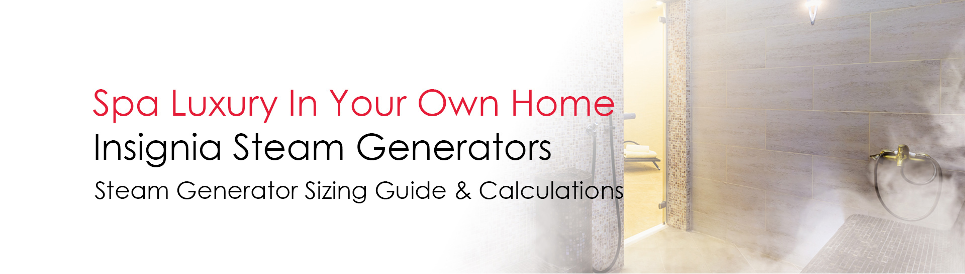 Insignia Steam Generator Sizing Guide