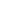 Insignia Website and Shop