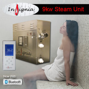 New Steam Generator 9kw